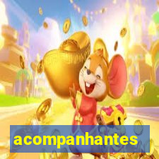 acompanhantes masculino porto velho